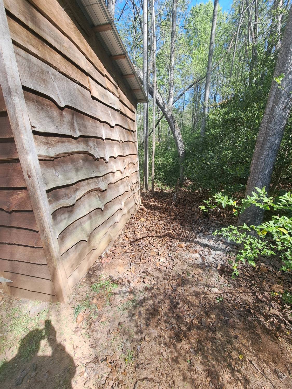 Cleared yard after junk removal